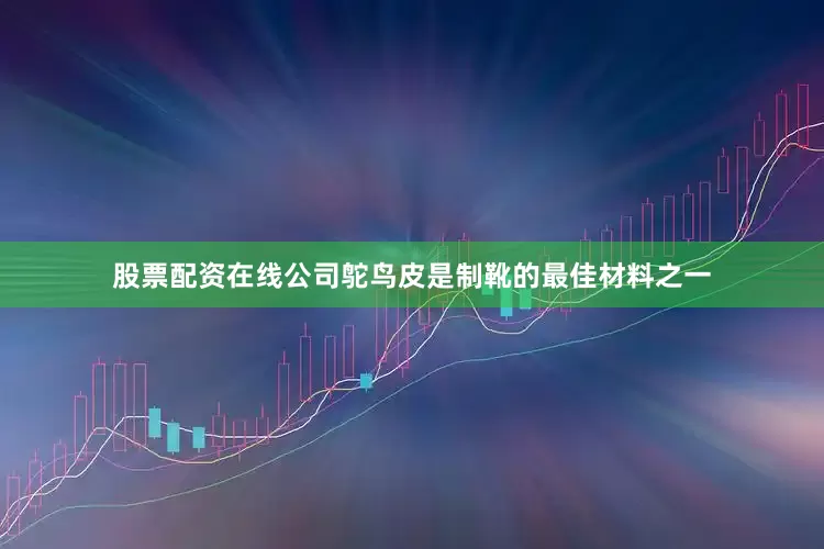 股票配资在线公司鸵鸟皮是制靴的最佳材料之一