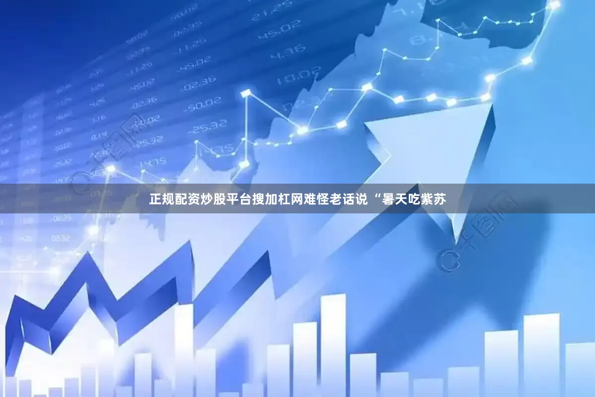正规配资炒股平台搜加杠网难怪老话说 “暑天吃紫苏